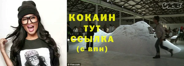 гашик Новокубанск