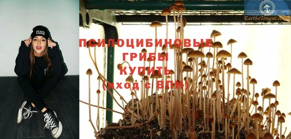 трава Надым