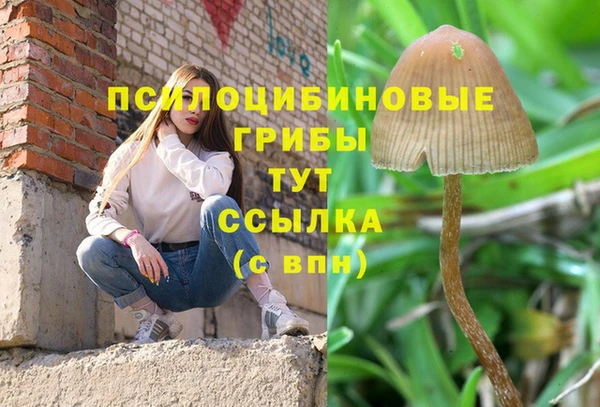гашик Новокубанск